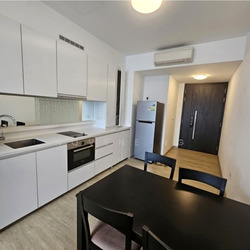 The Orient (D5), Apartment #549216671